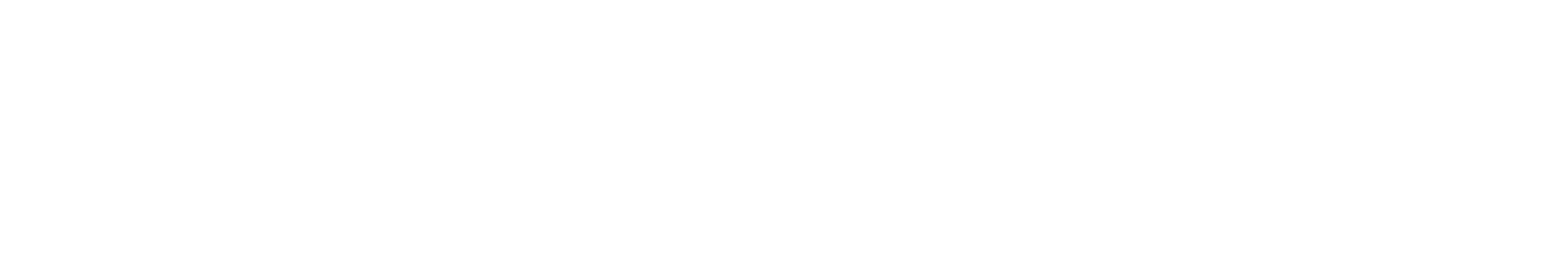 Paradise Media